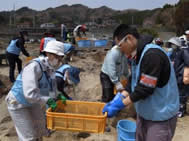 大槌町吉里吉里海岸での清掃