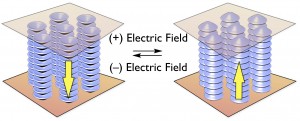 Schematic illustration of the electrical response of ferroelectrical columnar liquid crystal &copy; Takuzo Aida