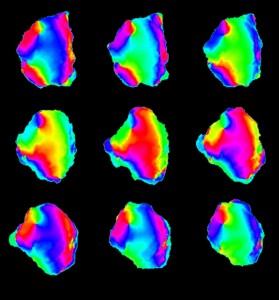 &copy; Satoshi Sawai. Propagating waves of phosphatidylinositol (3,4,5)-trisphosphate (PIP3) in Dictyostelium cell membrane. Colors indicate extracted phase of periodic changes in PIP3 concentrations. Phase singularities are points in space where all colors neighbor one another. Outwardly propagating waves in a rotating spiral around the singularities initiate rotational membrane expansion.