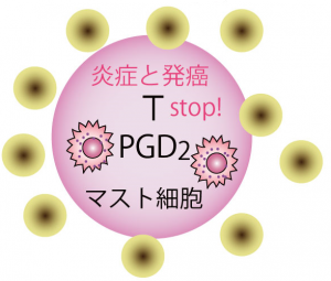 © 2014 村田幸久 (東京大学大学院農学生命科学研究科)