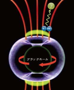 クレジット:The MAGIC Collaboration1 IC310 において観測された短時間の激しい高エネルギーガンマ線の強度変化は、高速度で回転する巨大ブラックホール極冠付近の磁気圏に、電位ギャップが生成され、その電位差を使い電子、陽電子が加速されガンマ線が放射されたとして説明できる。