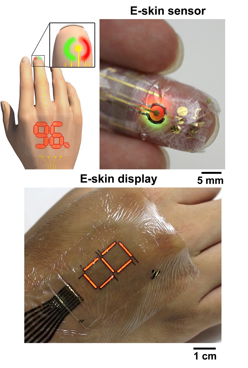 © 2016 Someya Laboratory, The University of Tokyo.Top left: System outline of a blood oxygen level monitor. Top right: Red and green polymer light-emitting diodes (PLEDs) are directed to shine into the finger. Reflected light from inside the finger is caught by an ultraflexible organic photodetector. This reflected light provides a measure of blood oxygen and pulse rate. Bottom: The output of the sensor can be shown on a PLED display.