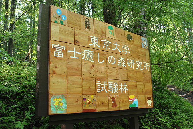 images
