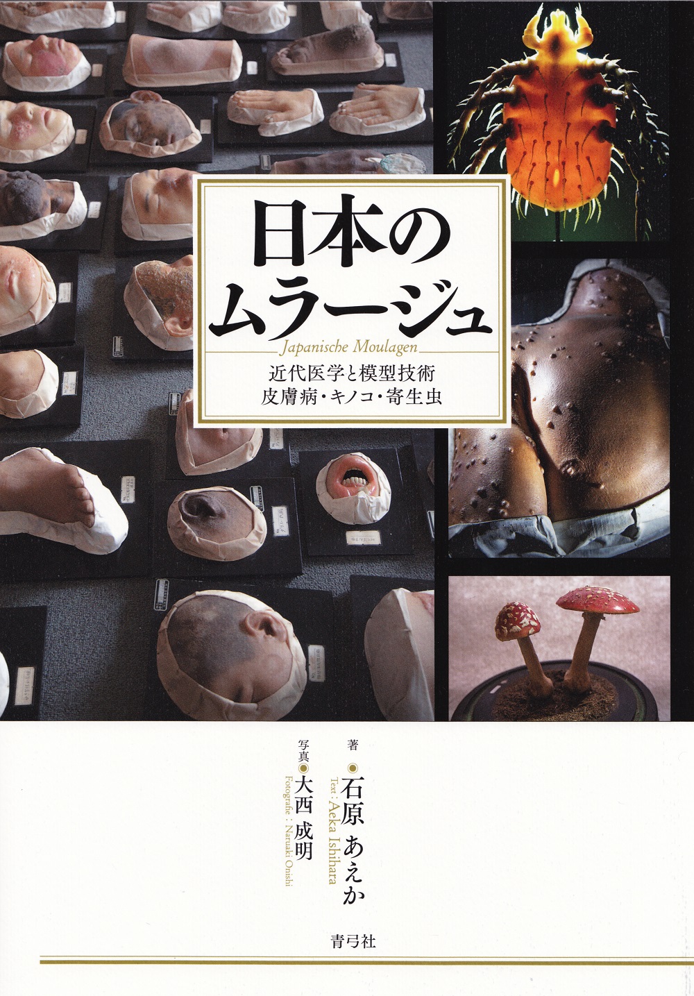A cover with some pictures of Moulagen