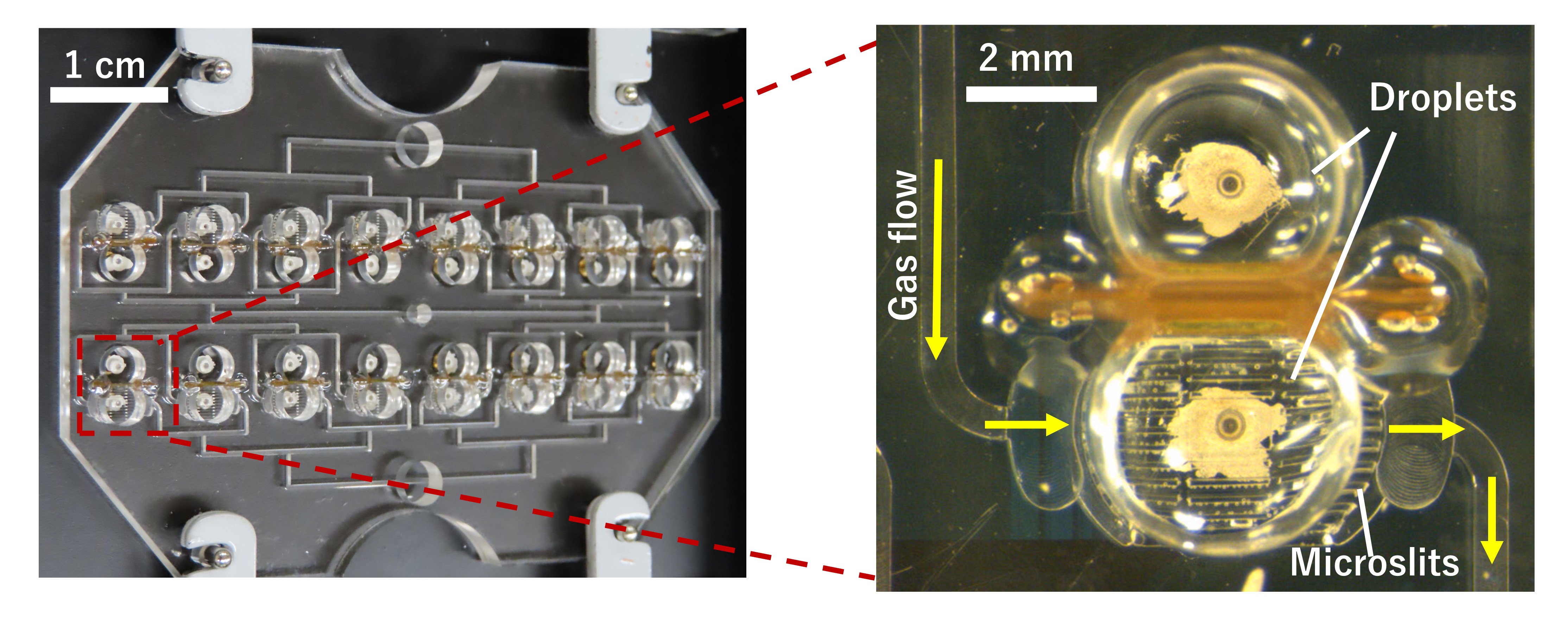 Transparent cylindrical shapes on a transparent flat surfaces