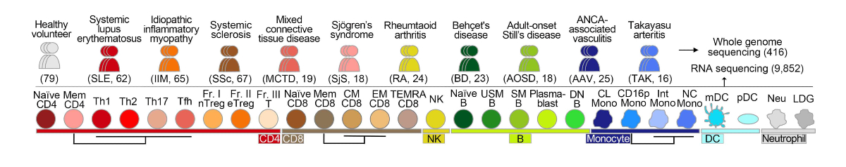 Research figure as described in the caption.