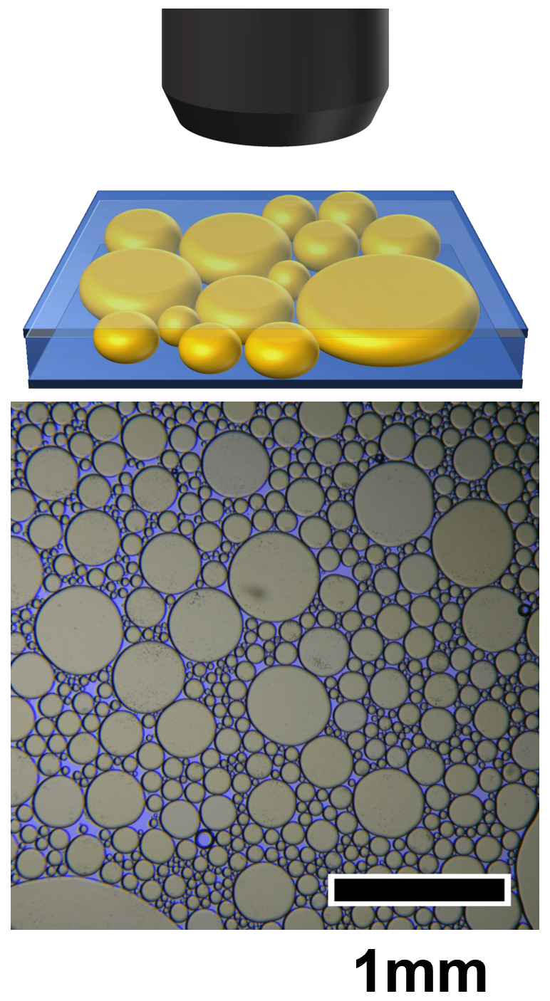 A diagram of a microscope looking down on an array of circles.