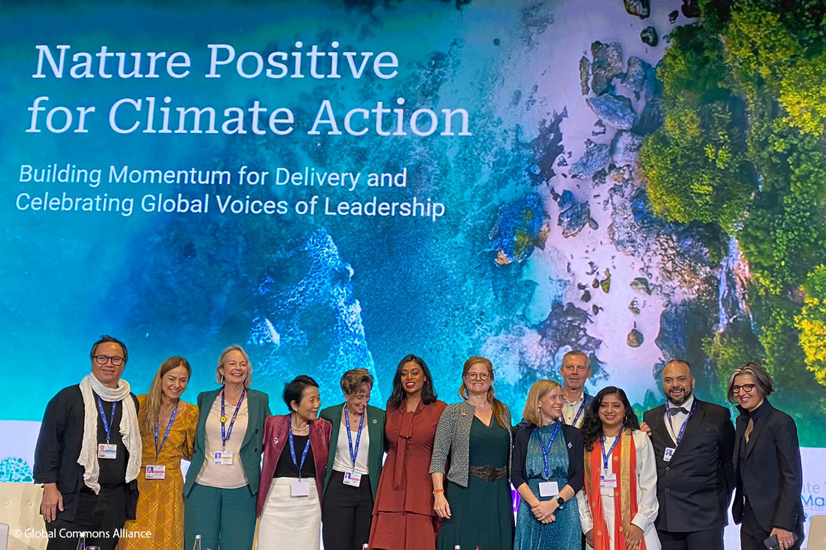 COP28