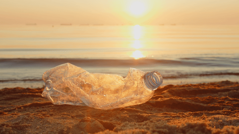 海岸でプラスチックゴミを拾うイメージ図
