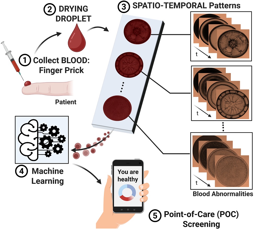 Image illustrating workflow of system that decodes drying droplet of blood for disease diagnosis
